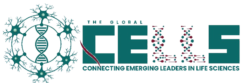 global cells logo updated 1 removebg preview